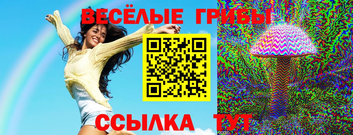Малгобек  Псилоцибиновые грибы мицелий  Вход с VPN 